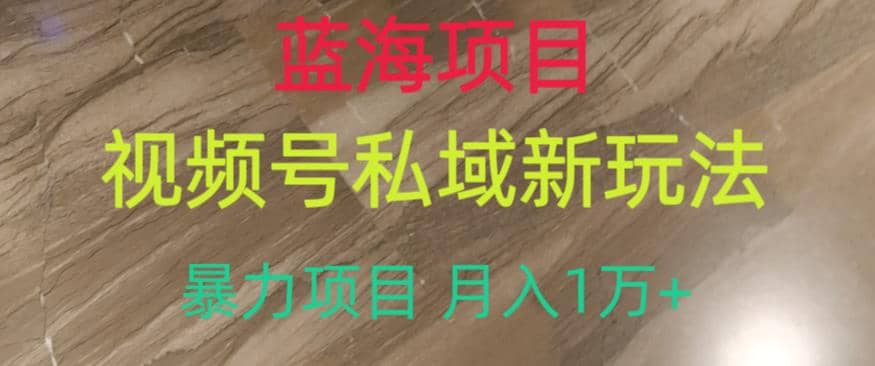 蓝海项目，视频号私域新玩法，暴力项目月入1万 【揭秘】-克用笔记