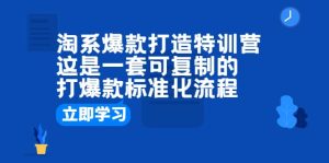 淘系爆款打造特训营：这是一套可复制的打爆款标准化流程-克用笔记