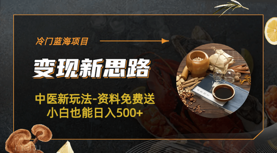 冷门蓝海项目-中医新玩法-冷门蓝海项目-中医新玩法-资料免费送小白也能日入500 500-克用笔记