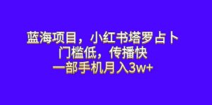 蓝海项目，小红书塔罗占卜，门槛低，传播快，一部手机月入3w-克用笔记
