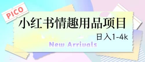 最新小红书情趣用品项目，日入1-4k-克用笔记